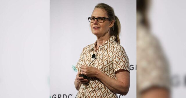 Qual a quantidade de ureia que a sua cultura realmente utiliza e qual a quantidade que permanece no solo?
