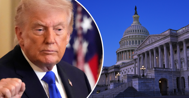 Quando começa o Estado da União? Sobre o que Donald Trump falará?
