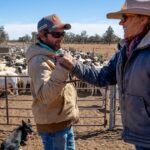 Quanta influência o dinheiro tem contra os problemas da força de trabalho na agricultura?