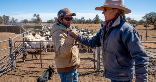 Quanta influência o dinheiro tem contra os problemas da força de trabalho na agricultura?
