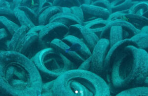 Quase 60 anos depois, fotos revelam consequências desastrosas de ‘projeto bem intencionado’: ‘Definitivamente temos muito trabalho a fazer’ Yahoo news home