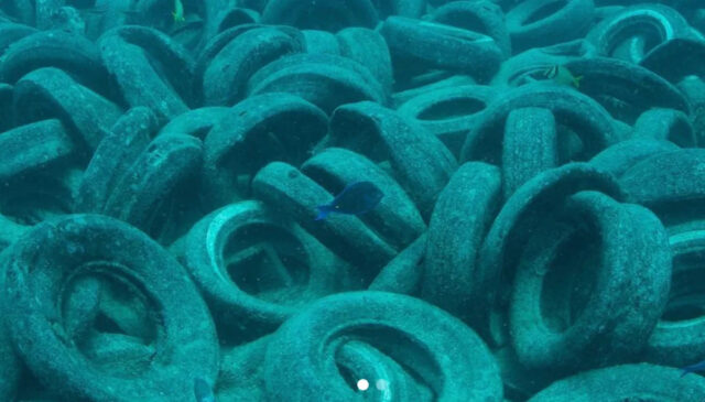 Quase 60 anos depois, fotos revelam consequências desastrosas de ‘projeto Yahoo news home