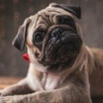 Mulher idosa com gripe assoando o nariz com um lenço.