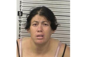 Recém-nascido se afogou depois que a mãe supostamente a ‘deixou cair’ em um banheiro portátil Nicole Pokrzywa e William Cosmen Mugshot separados