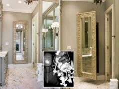 Residentes do Arizona constroem ‘salas de pânico’ secretas após o sequestro de Nancy Guthrie Residentes do Arizona constroem 'salas de pânico' secretas após o sequestro de Nancy Guthrie