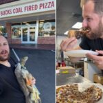 Restaurante na Flórida enfrenta reação após vender pizzas com carne de iguana como cobertura