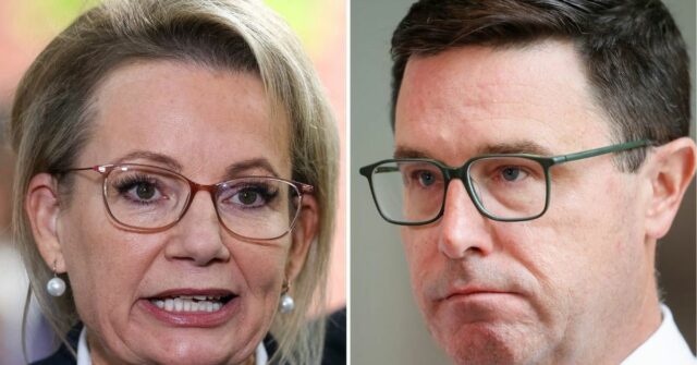 A Coalizão se dividiu pela segunda vez em menos de um ano, já que a líder da oposição, Sussan Ley, se recusa a comentar e o líder nacional, David Littleproud, considera o acordo com o Partido Liberal como 