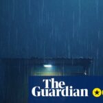 Revisão Reanimal – você nunca mais dará as costas a um pelicano enquanto viver