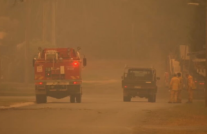 Risco extremo de perigo de incêndio nos estados do sudeste após o janeiro mais seco em 17 anos Vários estados do sudeste da Austrália estarão em alerta amanhã, pois as condições de calor e vento aumentam o perigo de incêndio.