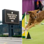 Vista externa do Javits Center com placa de boas-vindas e edifícios adjacentes.
