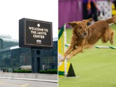 Ruff Day: Dope procurado por assaltos ao Javits Center preso voltando furtivamente para o Westminster Dog Show Vista externa do Javits Center com placa de boas-vindas e edifícios adjacentes.