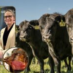 Sem briga entre amigos: a mídia social evita a carne bovina dos EUA à medida que as importações para Aus começam