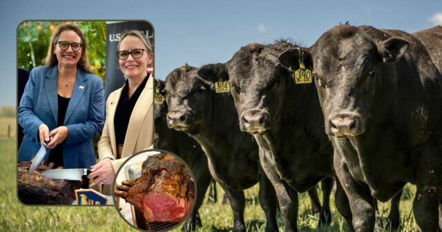 Sem briga entre amigos: a mídia social evita a carne bovina dos EUA à medida que as importações para Aus começam
