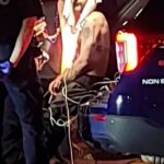 O ator de Hollywood Shia LaBeouf foi preso em Nova Orleans na manhã de terça-feira, de acordo com o Departamento de Polícia de Nova Orleans. A estrela de Fury, de 39 anos, brigou logo depois da meia-noite com várias pessoas enquanto festejava durante o festival de Mardi Gras