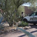 Sítios genealógicos ajudaram a solucionar crimes graves. A polícia no caso de Nancy Guthrie pode recorrer a eles