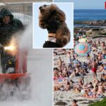 SoCal verá o clima de verão esta semana, enquanto o resto dos EUA reclama de mais seis semanas de inverno