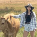 Solos saudáveis ​​são um foco fundamental para tirar o melhor proveito do rebanho bovino