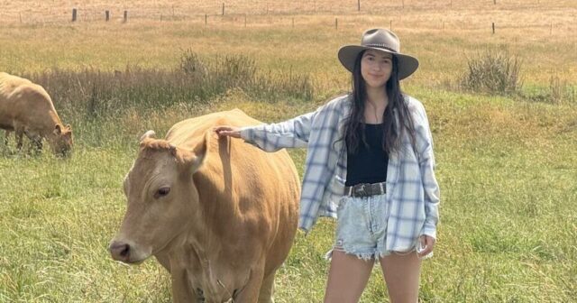 Solos saudáveis ​​são um foco fundamental para tirar o melhor proveito do rebanho bovino
