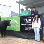 Stud animado com o suporte ao comprador que entregou uma liberação completa