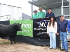 Stud animado com o suporte ao comprador que entregou uma liberação completa Stud animado com o suporte ao comprador que entregou uma liberação completa