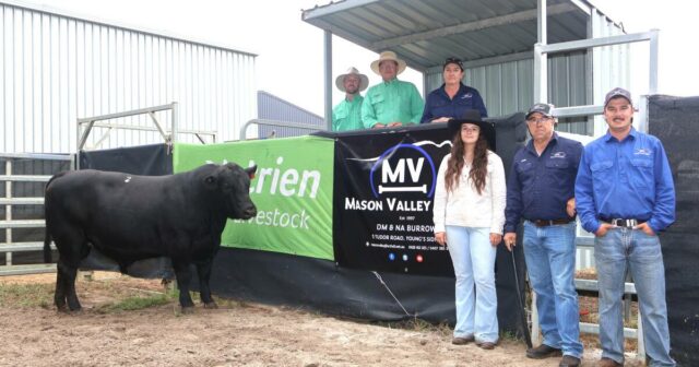 Stud animado com o suporte ao comprador que entregou uma liberação completa
