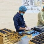 Tâmaras e água branca ao quebrar o jejum, Sunnah do Profeta cheia de sabedoria