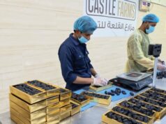 Tâmaras e água branca ao quebrar o jejum, Sunnah do Profeta cheia de sabedoria Tâmaras e água branca ao quebrar o jejum, Sunnah do Profeta cheia de sabedoria