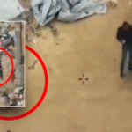 Terroristas do Hamas usam ambulâncias, escolas e hospitais em violação do cessar-fogo mediado pelos EUA, disse oficial das FDI