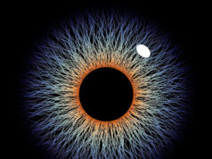 Todo olho tem um ponto cego oculto. Cientistas acham que isso revelará a verdadeira natureza da consciência Yahoo news home