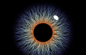 Todo olho tem um ponto cego oculto. Cientistas acham que isso revelará a verdadeira natureza da consciência Yahoo news home