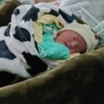 Babawru Akuntsu, no topo, descansa ao lado de Akyp, seu filho recém-nascido