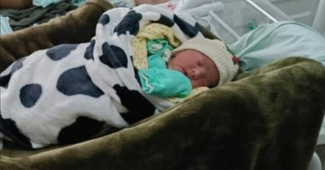 Tribo amazônica enfrentou extinção, mas um nascimento inesperado agora traz Babawru Akuntsu, no topo, descansa ao lado de Akyp, seu filho recém-nascido