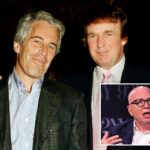 Michael Wolff falando com as mãos gesticulando.