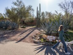 Trump diz que há ‘pistas’ no caso de Nancy Guthrie que são ‘muito fortes’ Trump diz que há 'pistas' no caso de Nancy Guthrie que são 'muito fortes'