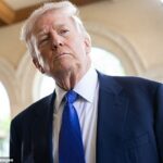 O presidente Donald Trump novamente ameaçou processar por alegações de que ele já foi à ilha particular do pedófilo em série Jeffrey Epstein