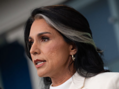 Tulsi Gabbard comemora um ano como Diretora de Inteligência Nacional Protegendo a Segurança Americana, Desvendando o Estado Profundo GLENDALE, ARIZONA - 21 DE SETEMBRO: O Diretor de Inteligência Nacional Tulsi Gabbard fala durante o serviço memorial do ativista político Charlie Kirk no State Farm Stadium em 21 de setembro de 2025 em Glendale, Arizona. Kirk, CEO e cofundador da Turning Point USA, foi baleado e morto em 10 de setembro enquanto discursava em um evento durante sua