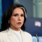 Tulsi Gabbard nega qualquer irregularidade devido ao atraso no encaminhamento de denúncias de denunciantes aos membros do Congresso: 'Infundado'