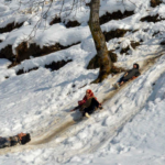 Turistas migram para Nathatop enquanto Jammu recebe nova neve