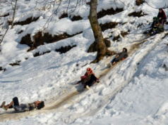 Turistas migram para Nathatop enquanto Jammu recebe nova neve Turistas migram para Nathatop enquanto Jammu recebe nova neve