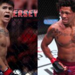 UFC Fight Night: transmissão ao vivo de Bautista x Oliveira – Veja como assistir ao evento de MMA online gratuitamente