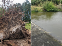 Um homem morto, dezenas de milhares sem energia enquanto tempestades atingem a Nova Zelândia Um homem foi morto, milhares de propriedades estão sem energia e voos foram cancelados enquanto tempestades violentas atingem grandes partes da Nova Zelândia.