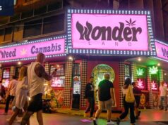 Um novo governo dará vida à ofegante indústria de cannabis da Tailândia? Zach esperança