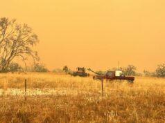 ‘Uma armadilha mortal’: WA vollies dizem que caminhões de bombeiros oficiais são inadequados para terrenos arenosos 'Uma armadilha mortal': WA vollies dizem que caminhões de bombeiros oficiais são inadequados para terrenos arenosos