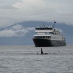 Uma cauda de baleia desaparecendo em águas calmas ao pôr do sol, com texto