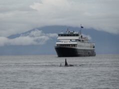 Uma das empresas de cruzeiro mais pitorescas encerrou abruptamente o serviço após 15 anos Uma cauda de baleia desaparecendo em águas calmas ao pôr do sol, com texto