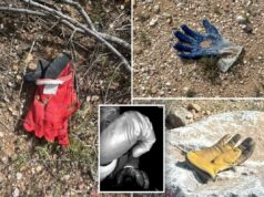 Várias luvas adicionais encontradas pelo Post na mesma área perto da casa de Nancy Guthrie, onde o FBI encontrou evidências potenciais Várias luvas adicionais encontradas pelo Post na mesma área perto da casa de Nancy Guthrie, onde o FBI encontrou evidências potenciais