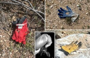 Várias luvas adicionais encontradas pelo Post na mesma área perto da casa de Nancy Guthrie, onde o FBI encontrou evidências potenciais Várias luvas adicionais encontradas pelo Post na mesma área perto da casa de Nancy Guthrie, onde o FBI encontrou evidências potenciais