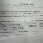 Google Preferred Source Banner