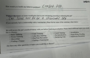 Veterinário não está preparado para o único motivo que o proprietário dá para ela entregar o gato Google Preferred Source Banner