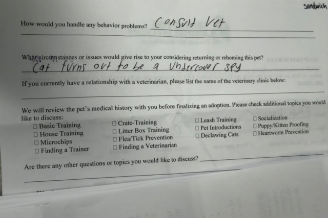 Google Preferred Source Banner